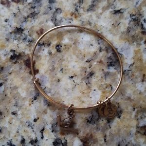 Alex and Ani Sacred Dove charm bracelet